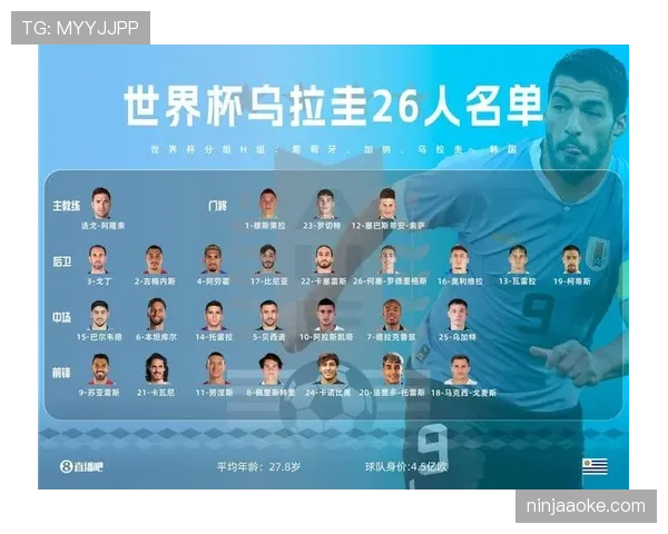 厄瓜多尔E组专题深度解读